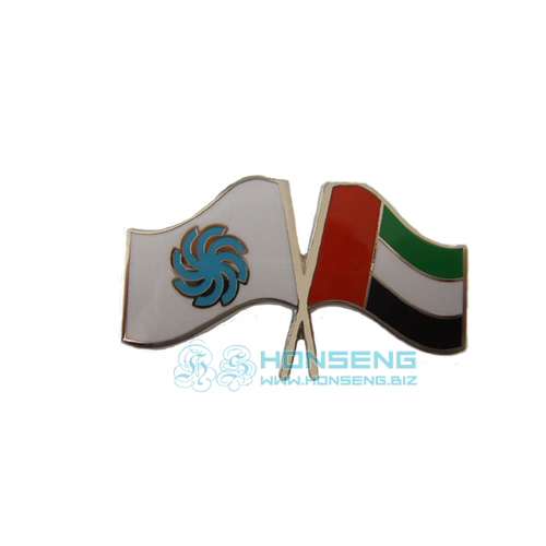 Masdar Flag Pins